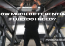 How Much Differential Fluid Do I Need