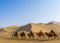 Unlock the History of Asia and Europe Along the Silk Road