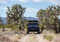 The Real Man’s Guide to Off-Roading Adventures in America